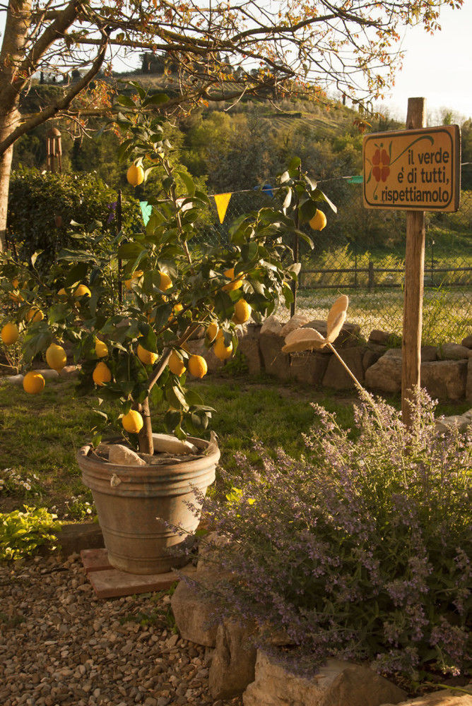 B&B Eridu Fiesole Exterior foto